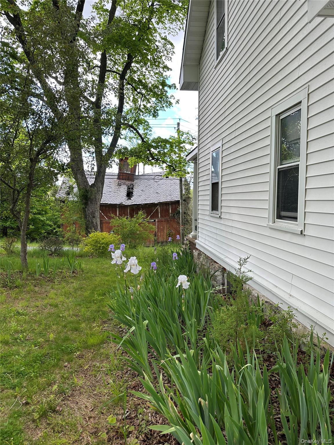 Photo 25