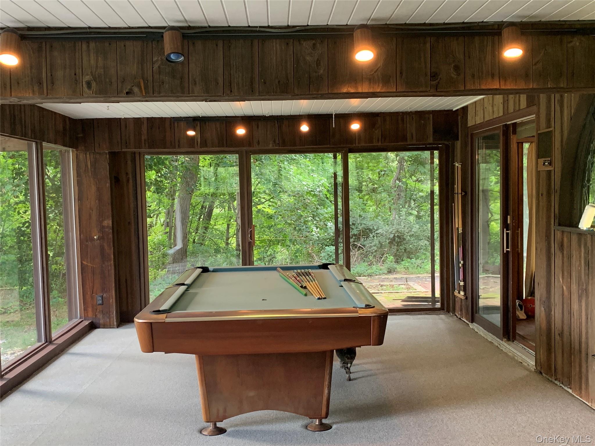Recreation Room