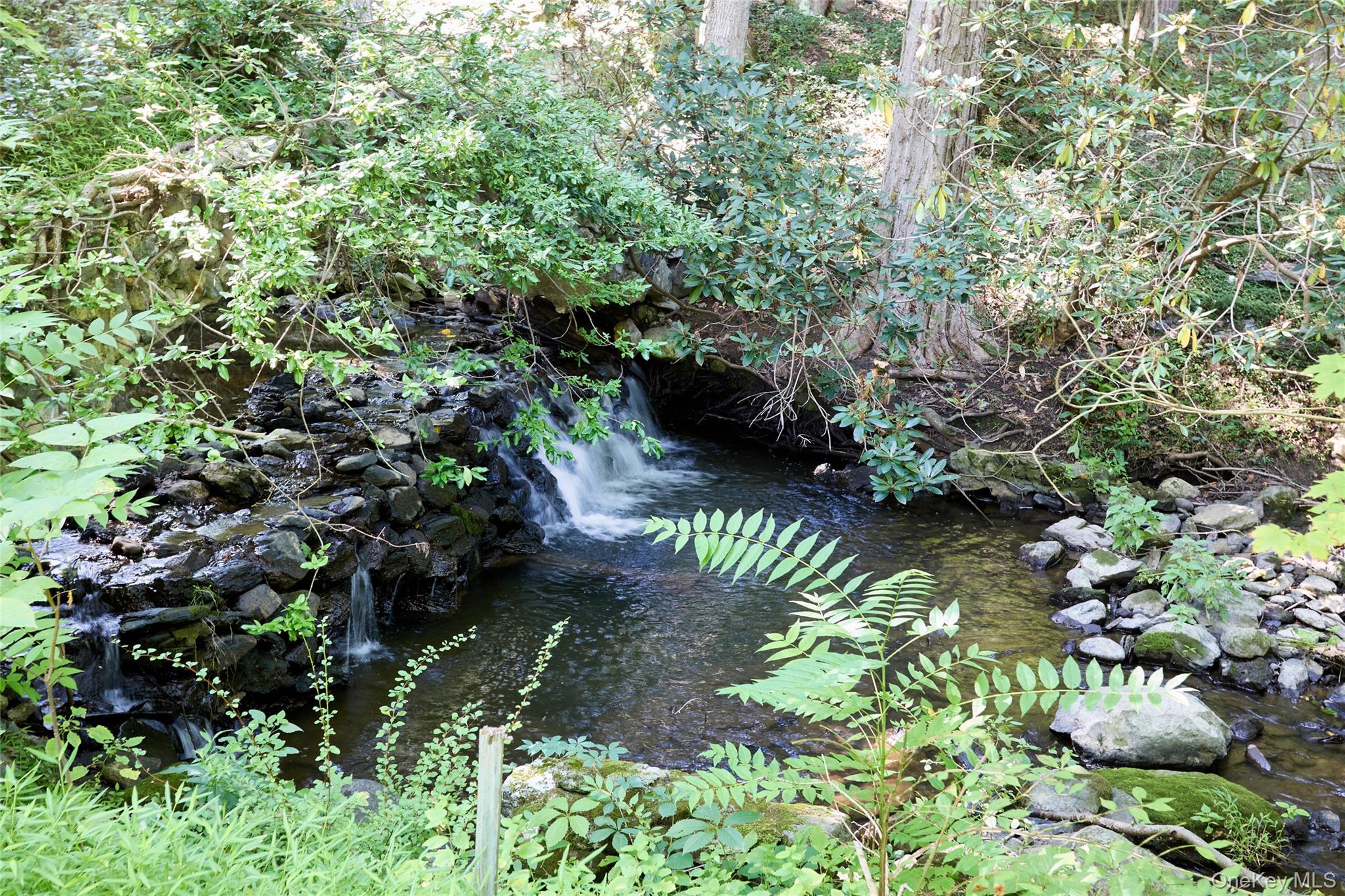 Photo 45