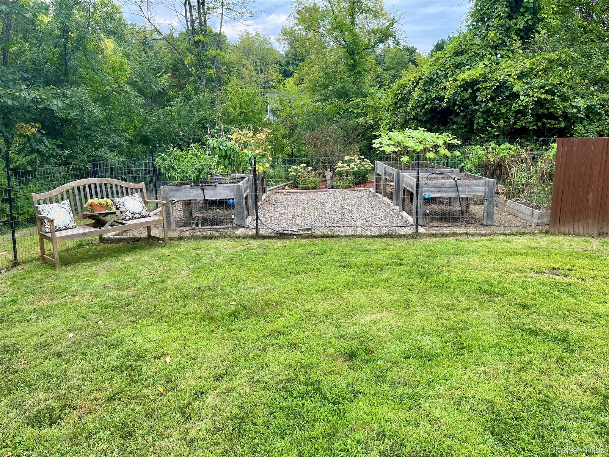 Garden