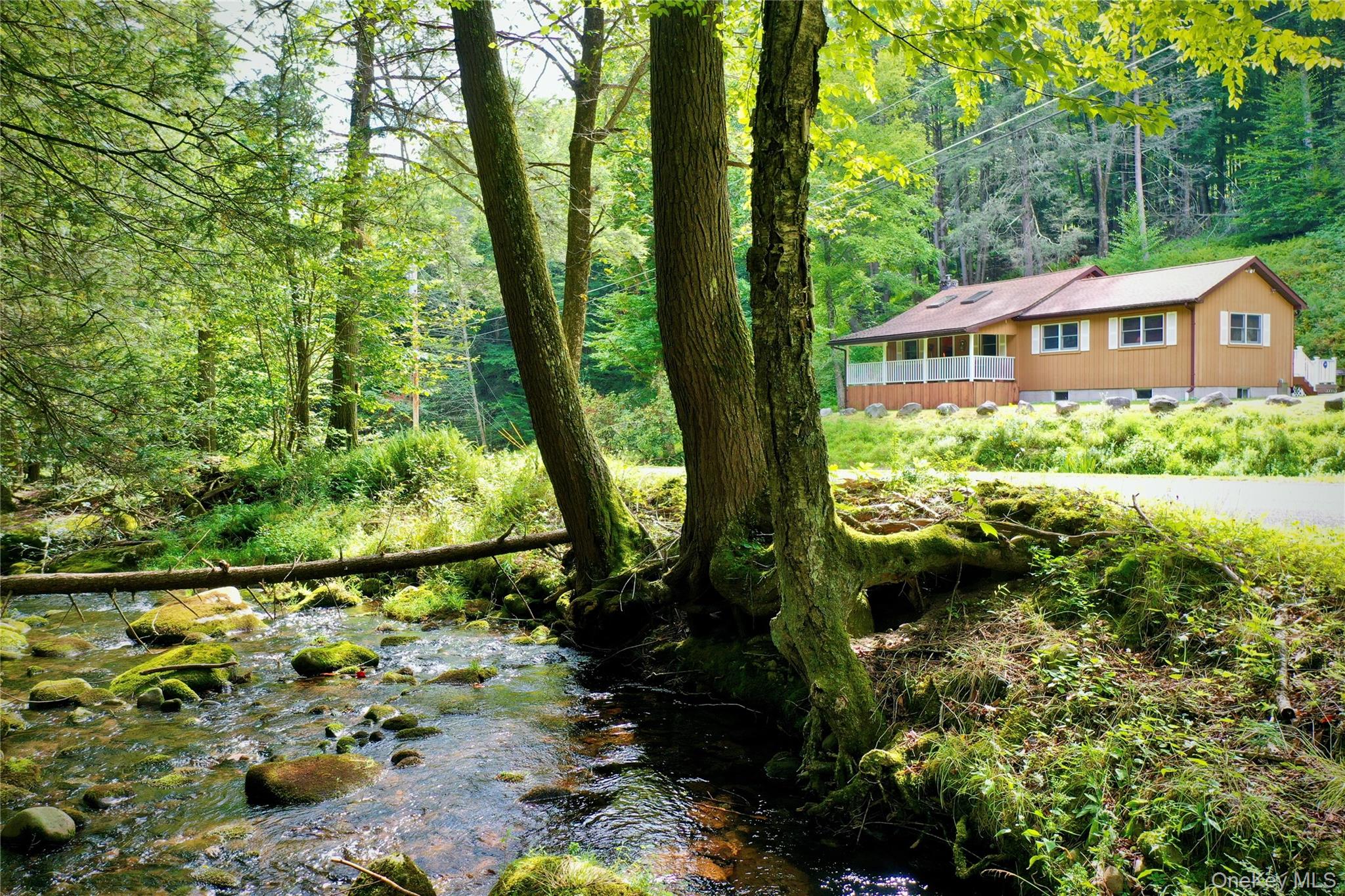 283 Pepacton Hollow Road