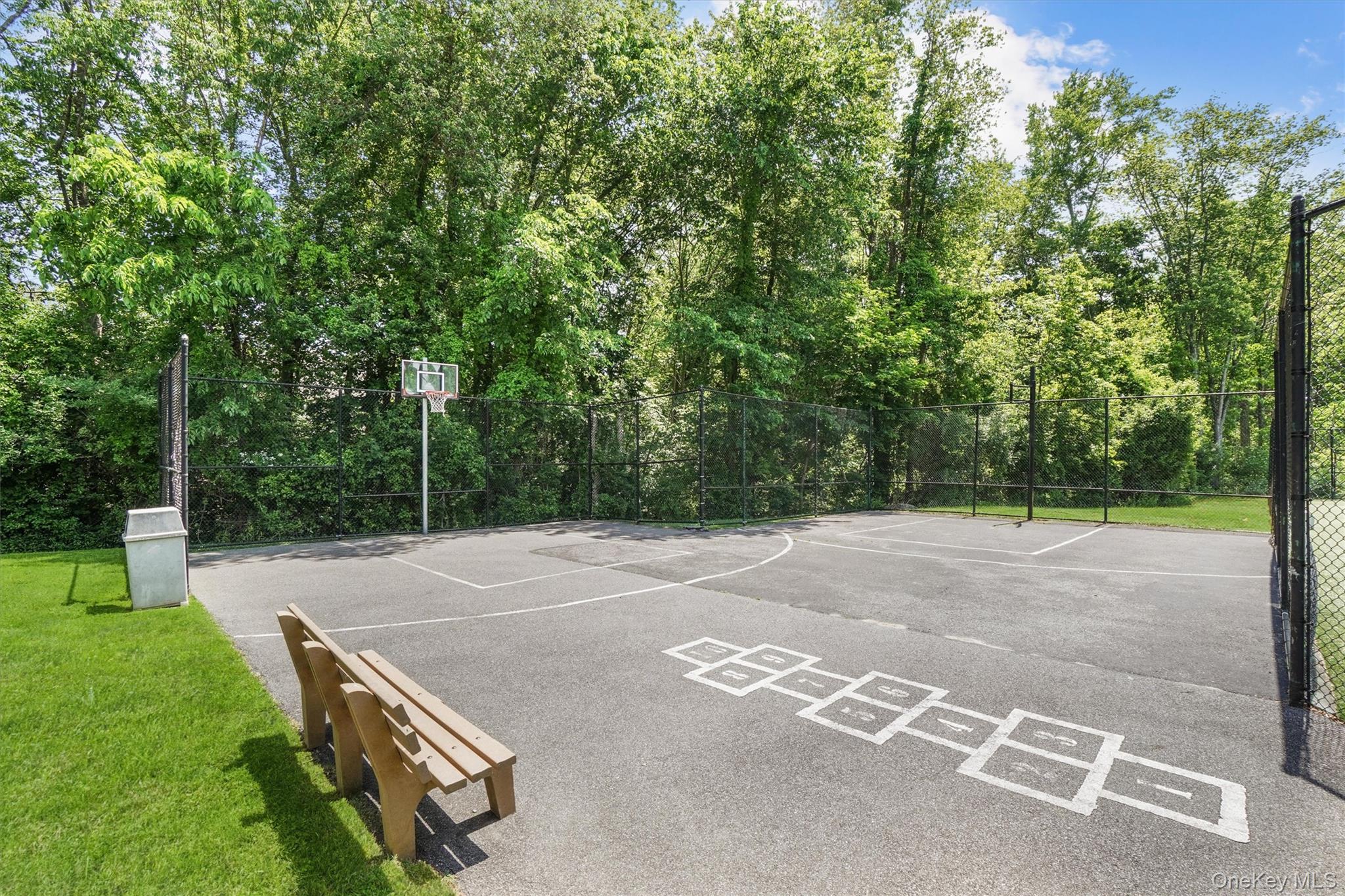 Basketball Court