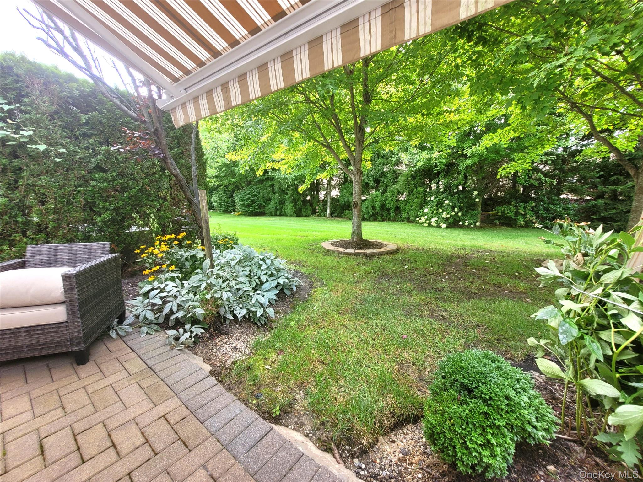 Yard