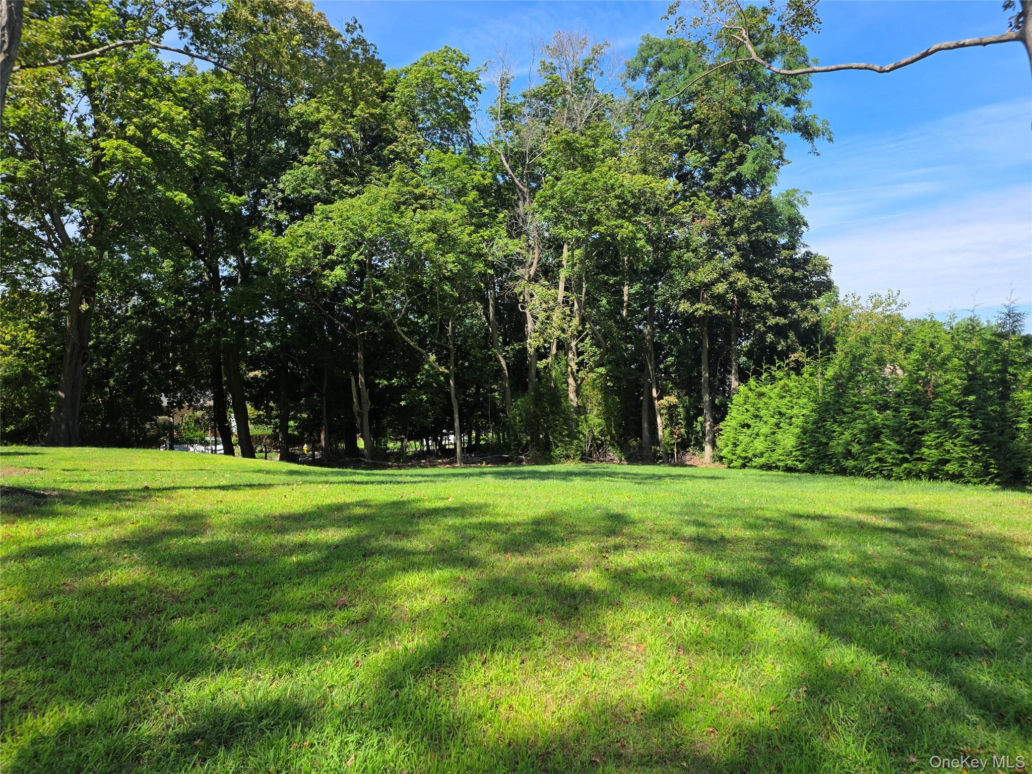 Yard