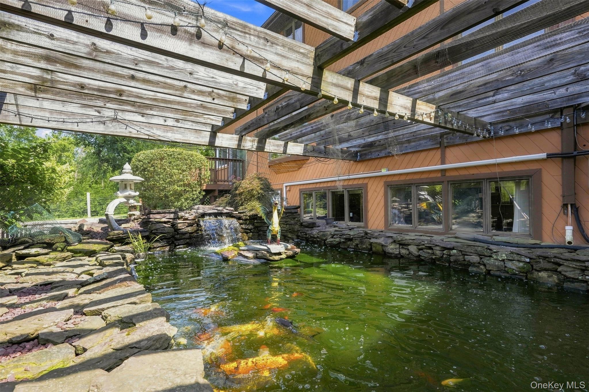 Pond