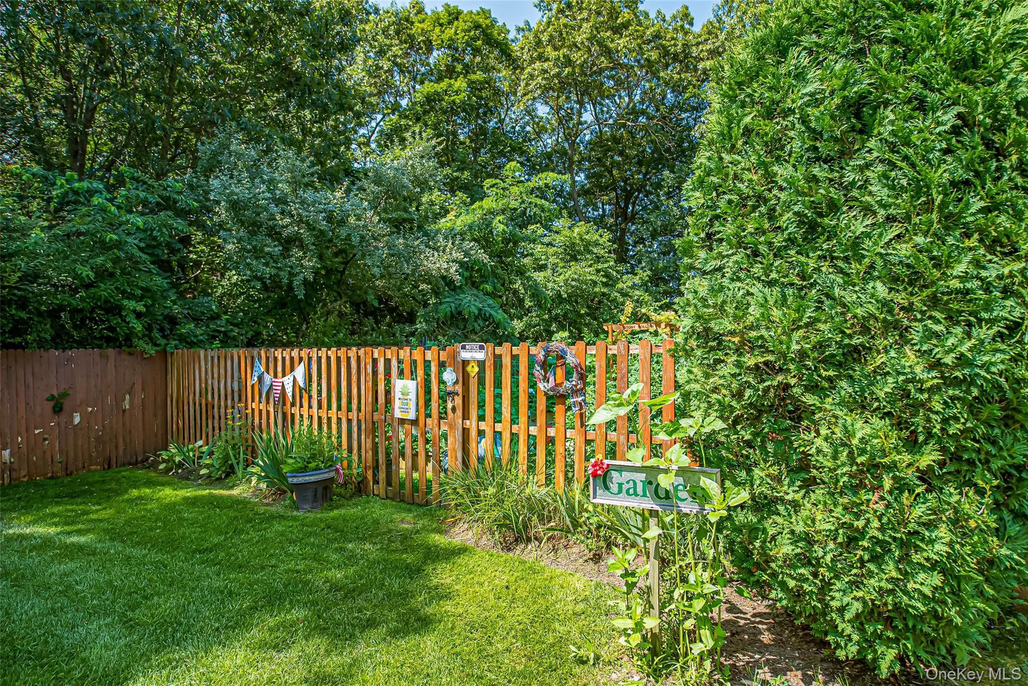 Garden