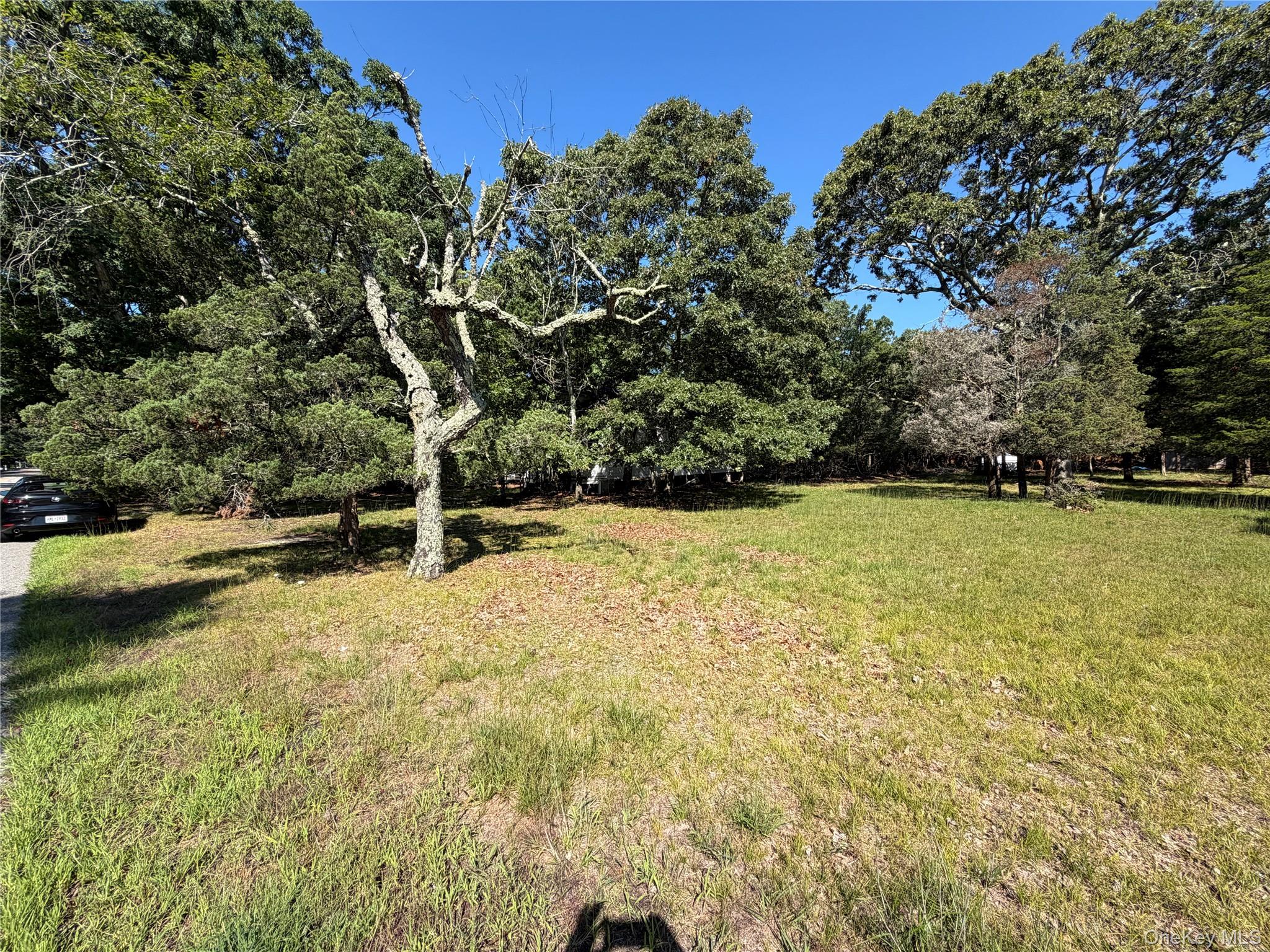 92 Tiana Road
