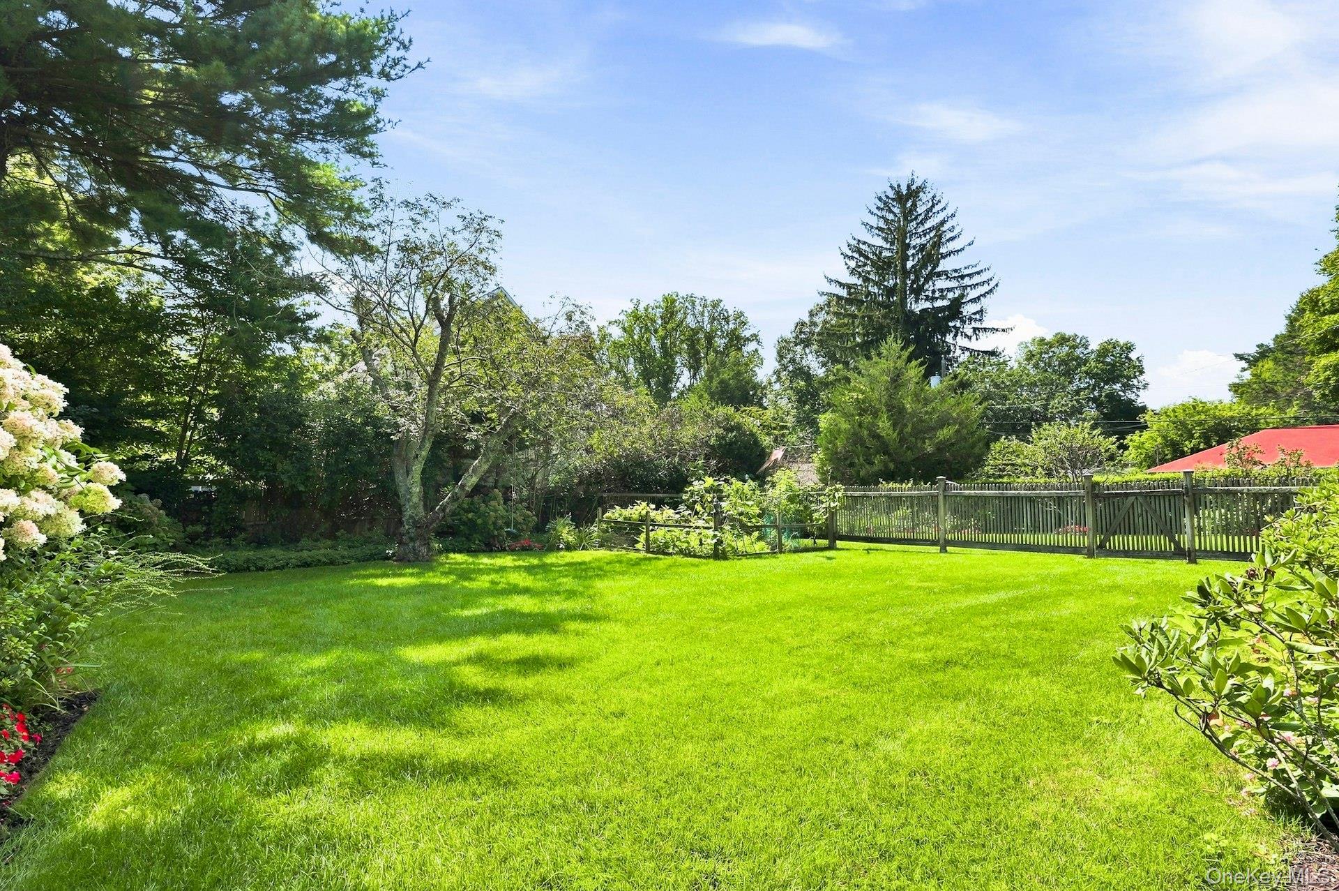 Yard