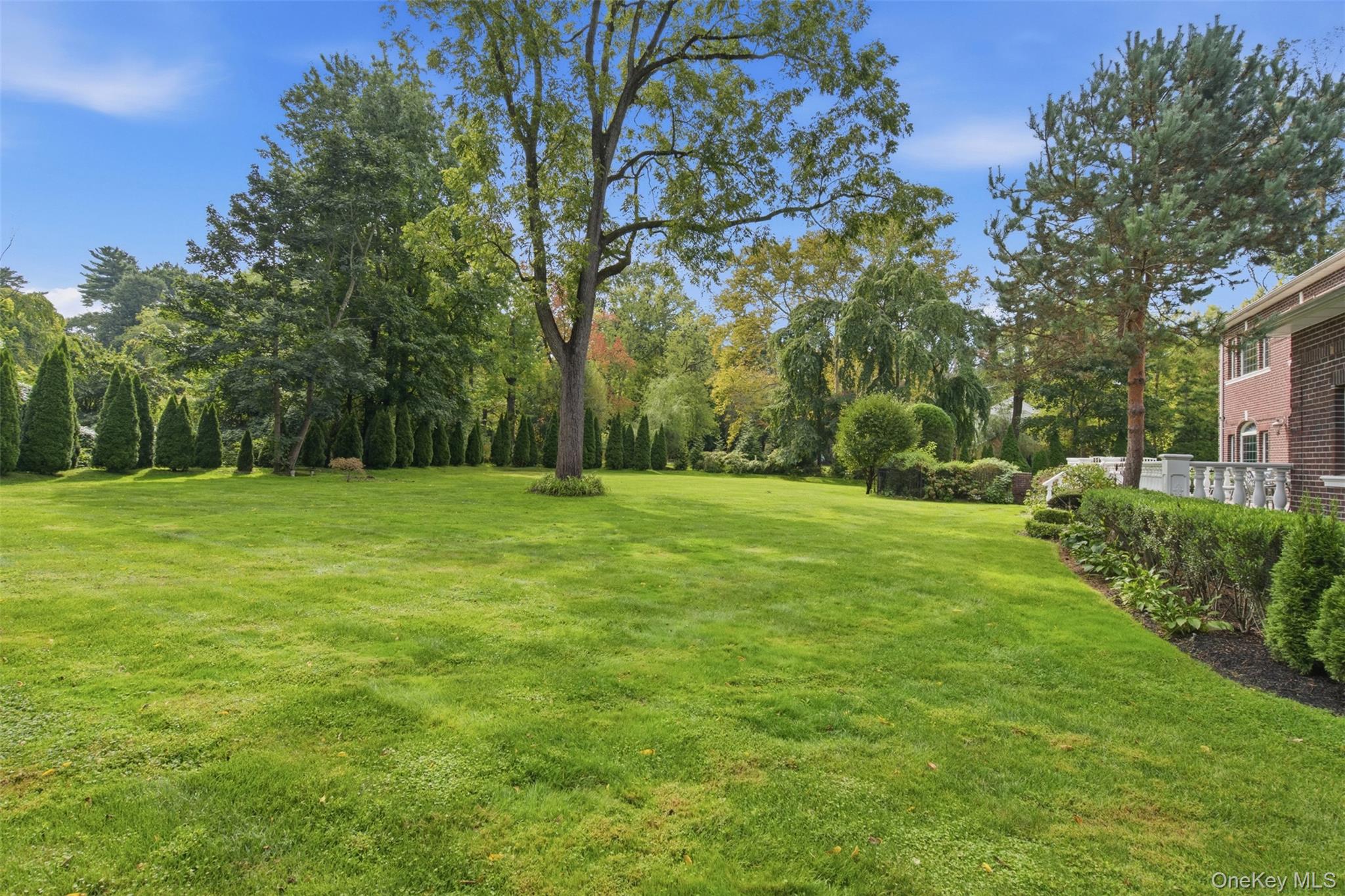 Yard