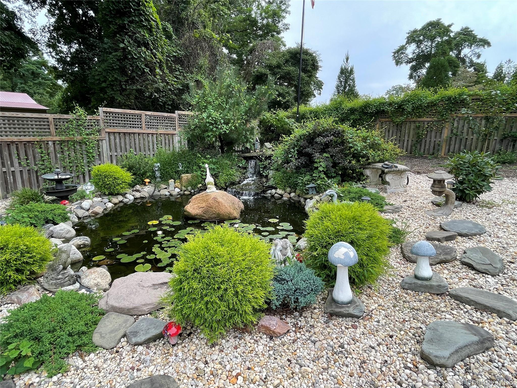 Pond