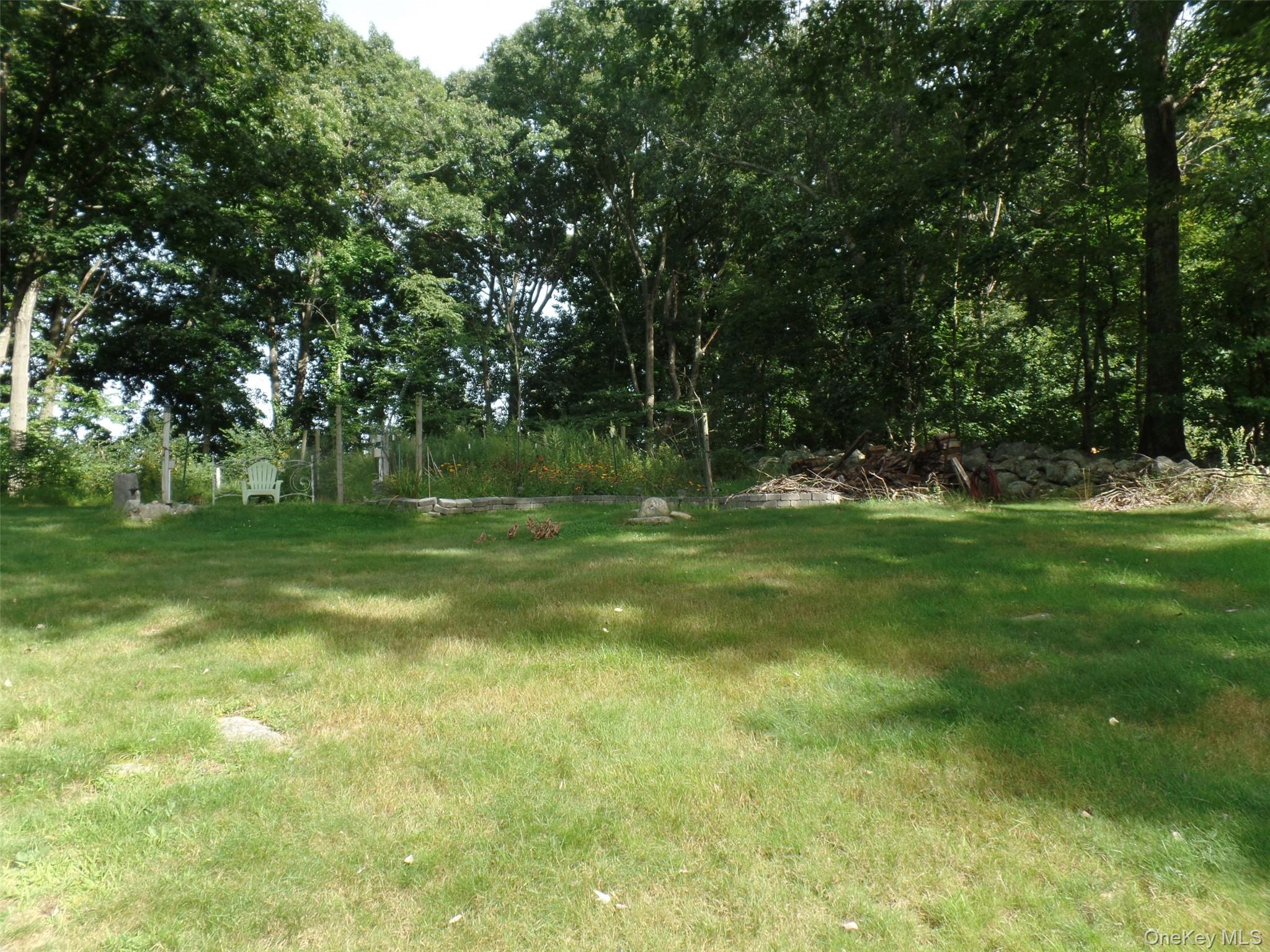 Photo 41