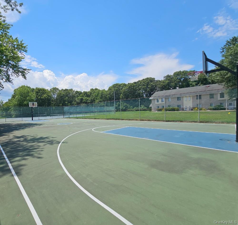 Basketball Court