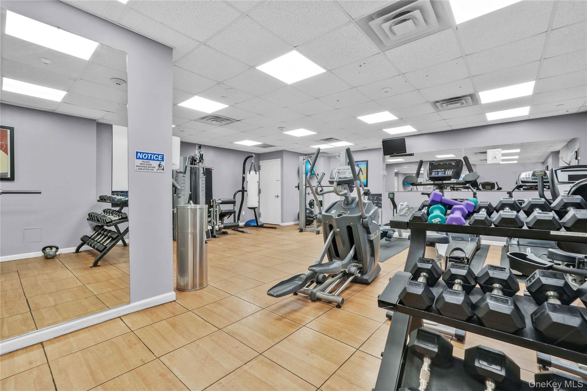 Gym
