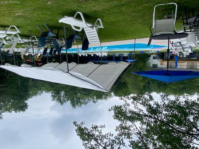 Pond