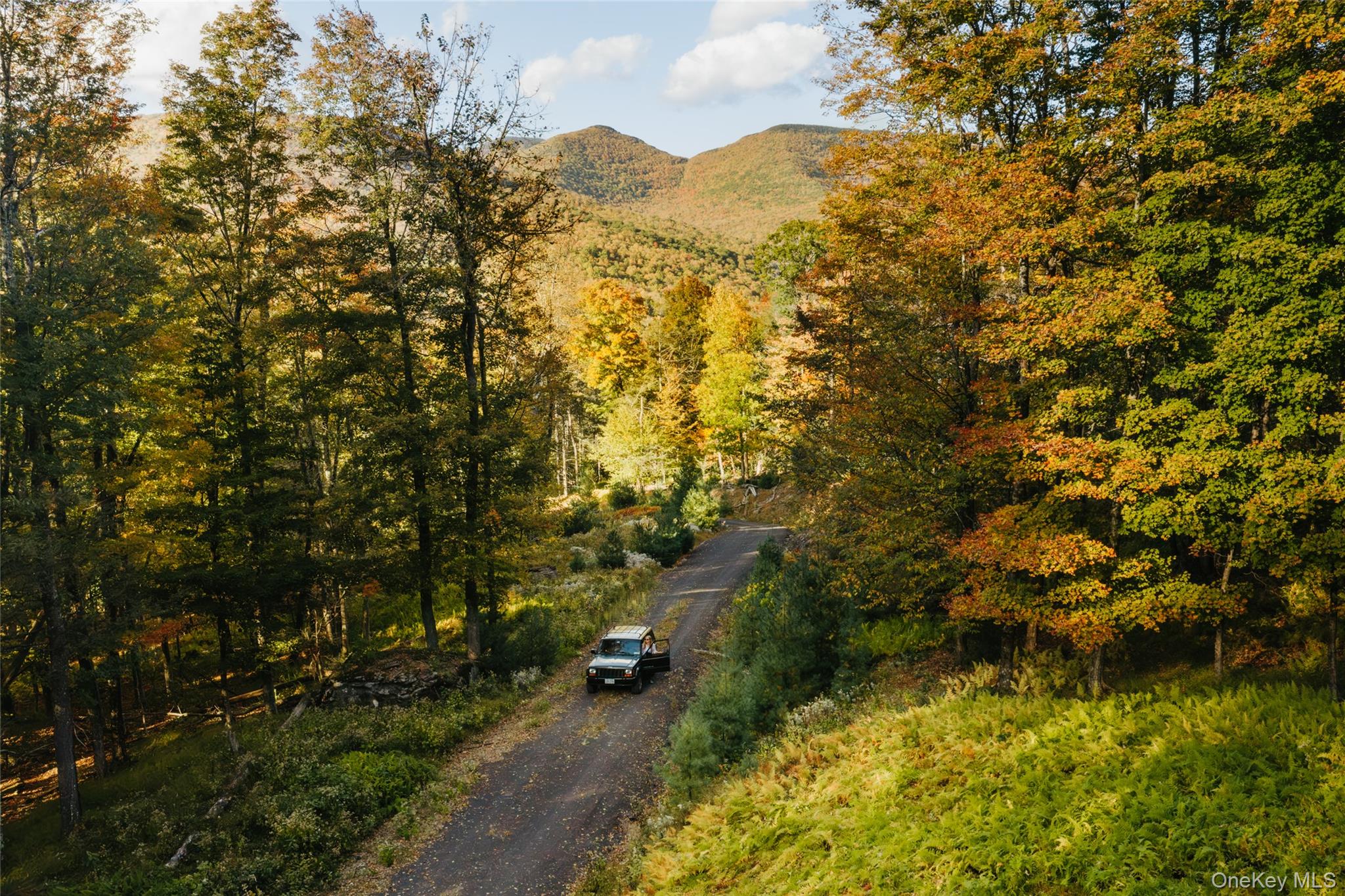TBD MacDaniel Road