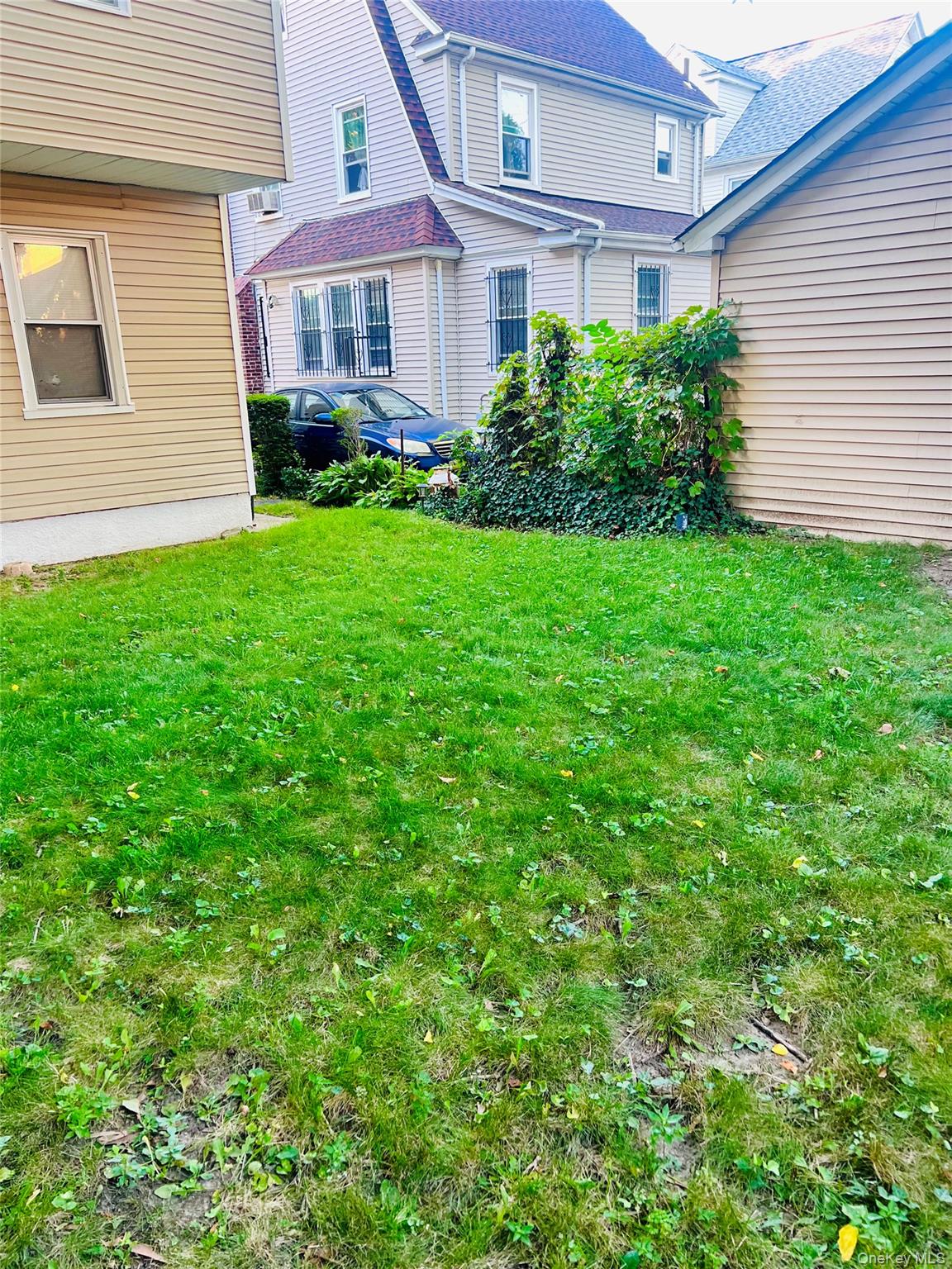Yard